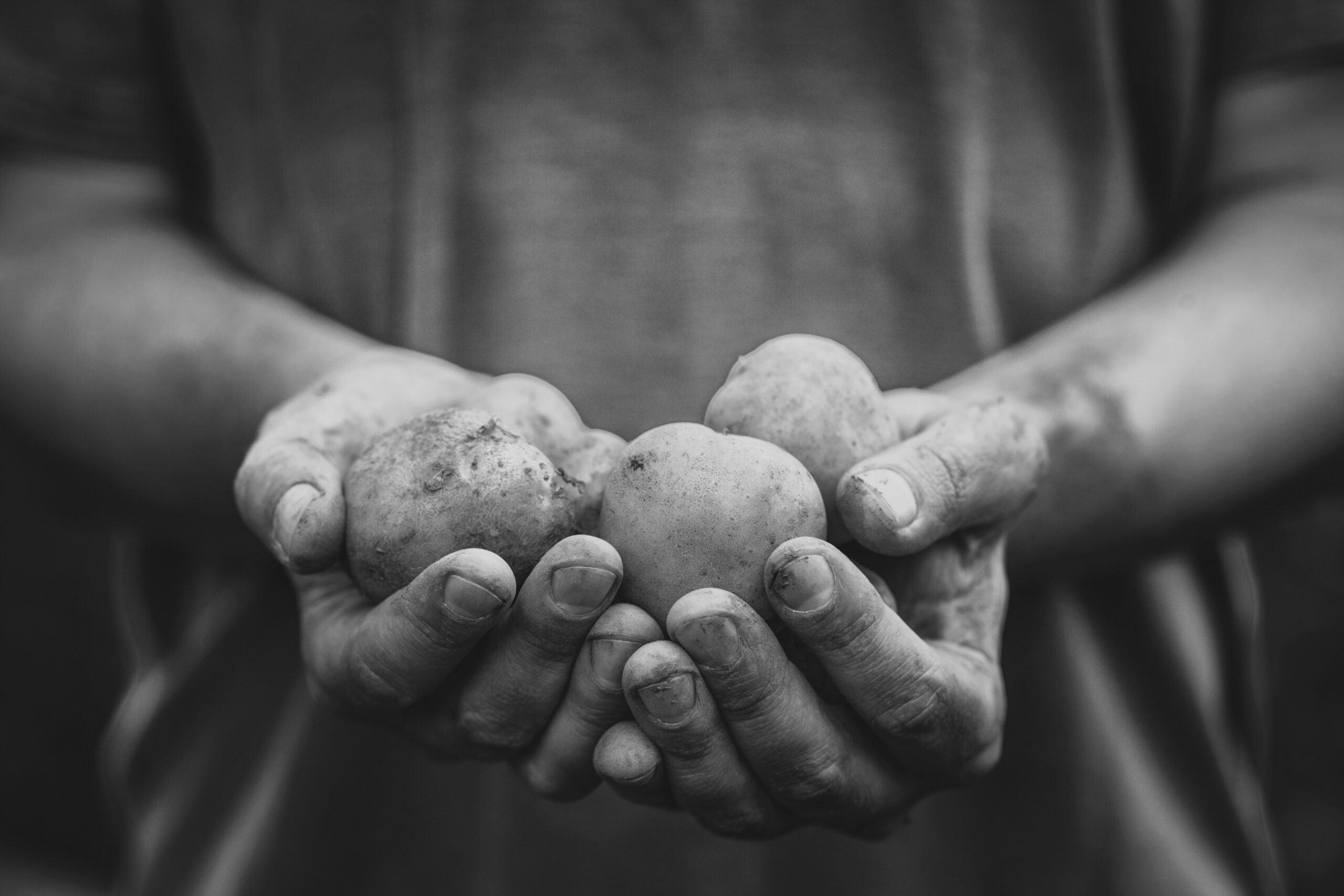 Organic,Vegetables.,Farmers,Hands,With,Freshly,Harvested,Vegetables.,Fresh,Bio